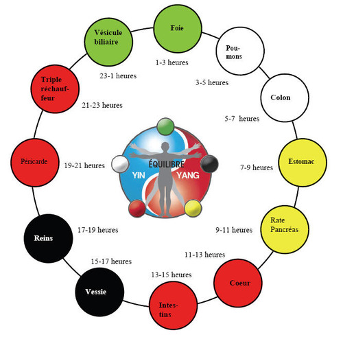 Cyclebiorythmique scaled 500